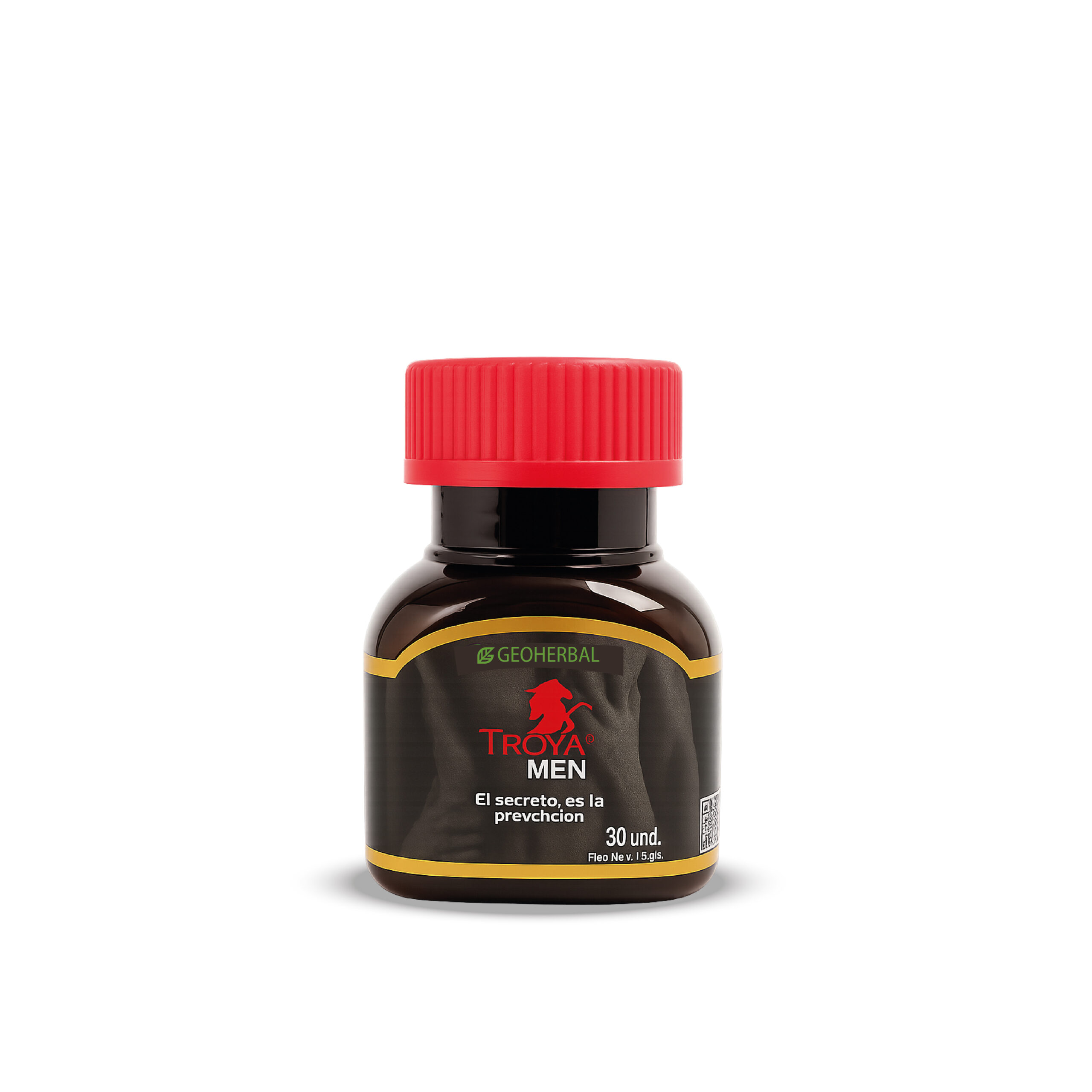 troya web_Mesa de trabajo 1 copia 2