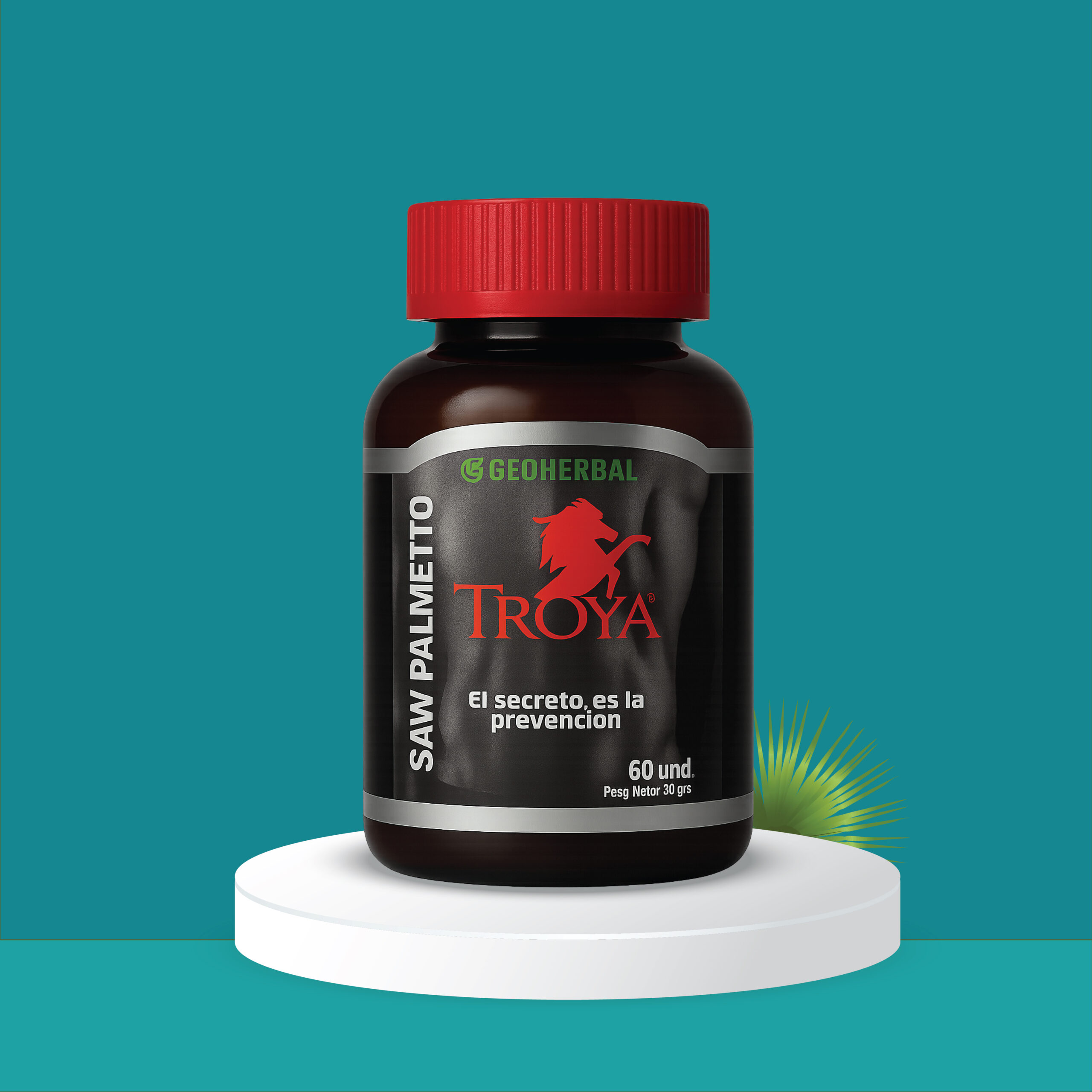 web_Mesa de trabajo 1 copia 8