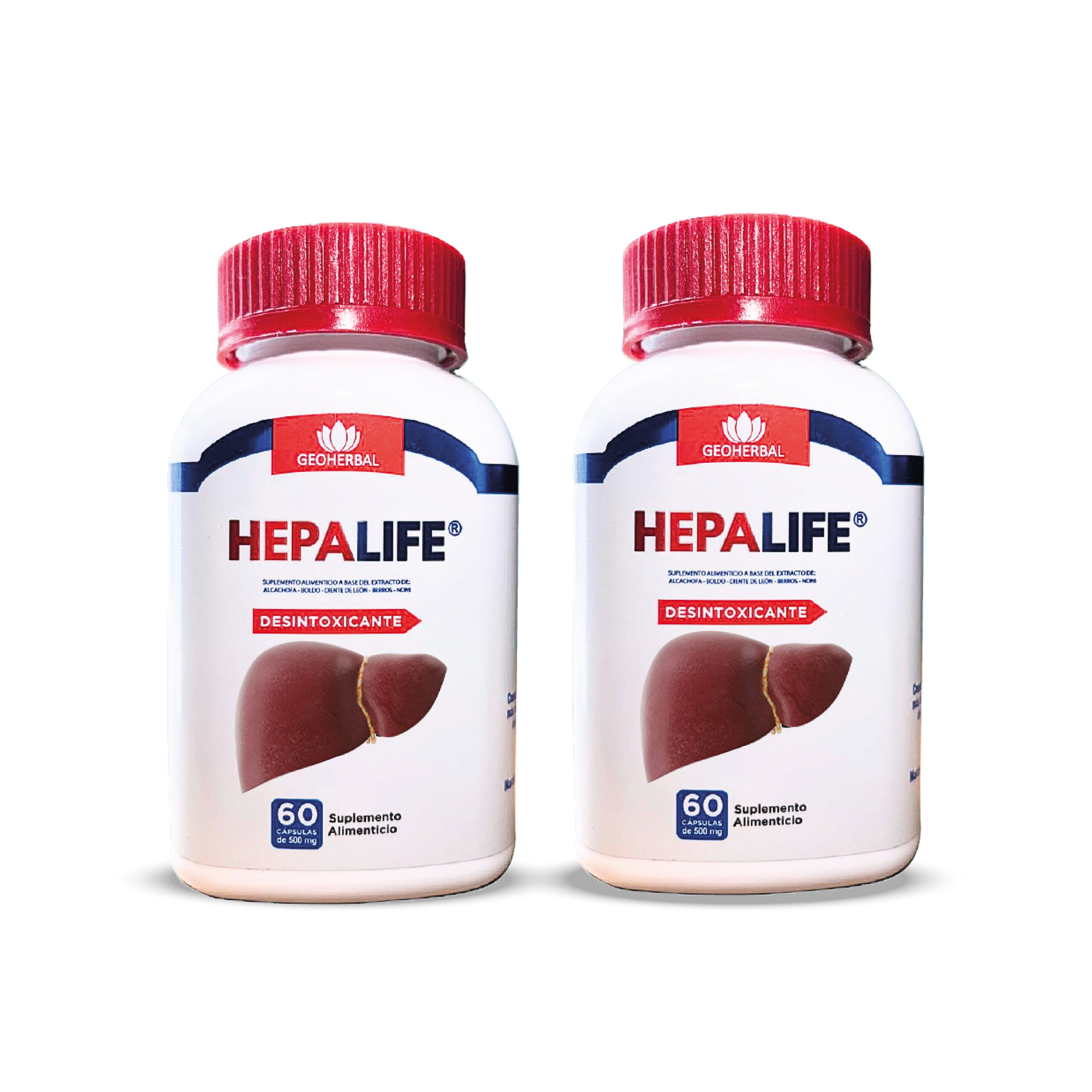 Hepalife_Mesa de trabajo 1 copia 3